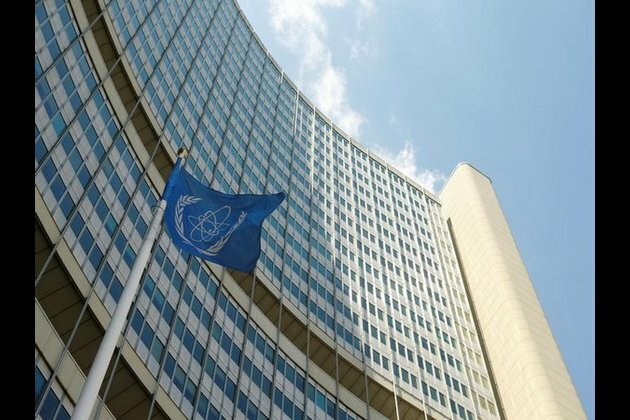 Inspections necessary for N Korea, says IAEA chief