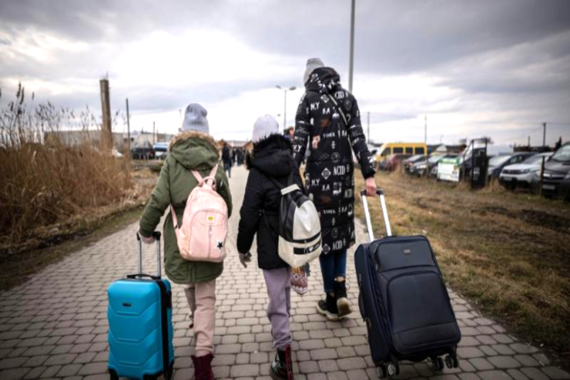 40% drop in people seeking international protection in Ireland