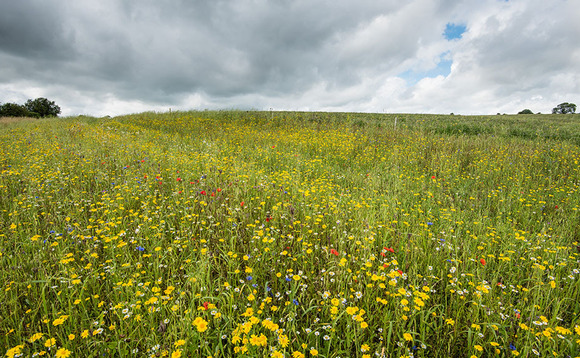 NFU 21: Eustice sets out more detail about 2022 Sustainable Farming Incentive