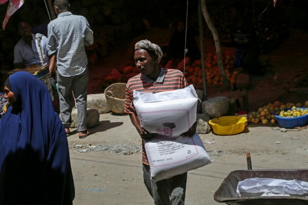 Central African Nations Vow to Reduce Imports to Spur Job Creation