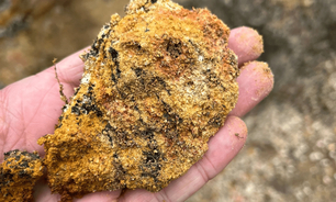 Brazilian miner Meteoric said its soft, clay-hosted deposits don't require drilling, blasting or tailings dams.