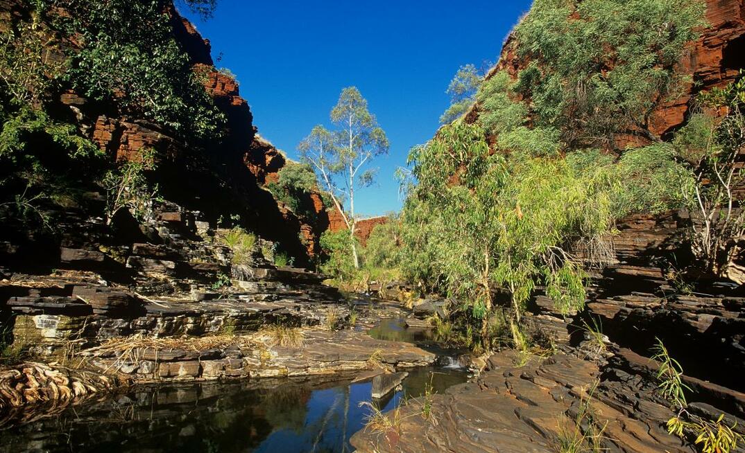 Hamersley Gorge