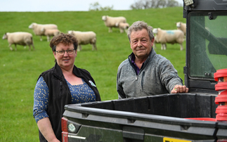 Beef Expo: Breeding show cattle is a shared passion for Breconshire beef and sheep farming family