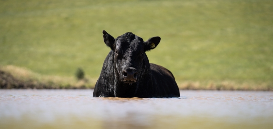 Recent research has highlighted the agricultural sector as among the most heat-exposed industries in Australia.