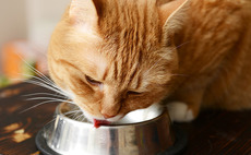 Heliad backs ePetWorld's €5m round