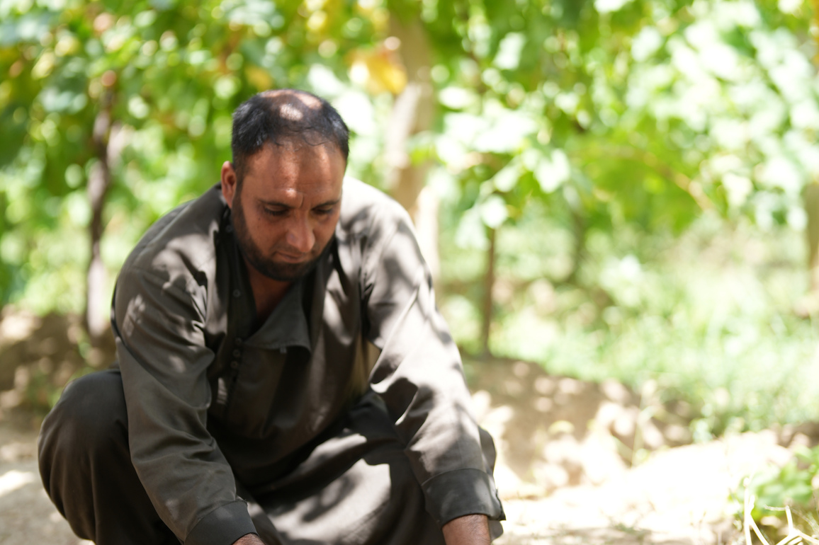 AFGHANISTAN-KABUL-KANGANA-GRAPE STORAGE