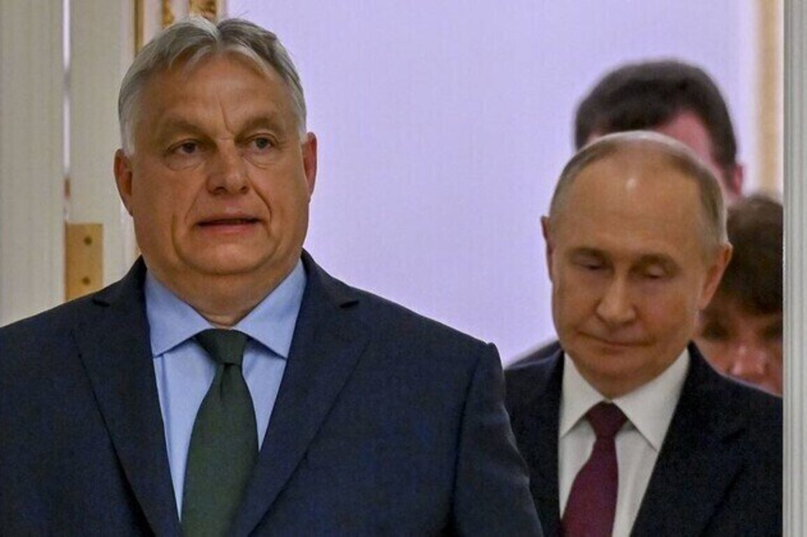 Putin and Orban discuss Iran, Ukraine, and Hungarian POWs