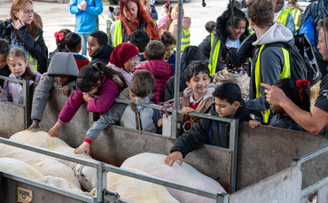 Hundreds of inner-city children descend on Olly Harrison's farm for NSA education day