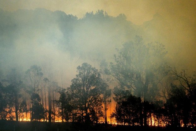Australian Research Finds Climate Change Behind Bushfire Surge
