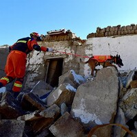Earthquake of magnitude 3.9 strikes Bhutan