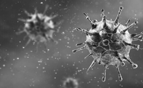 Meat plant suspends production due to Covid-19 outbreak