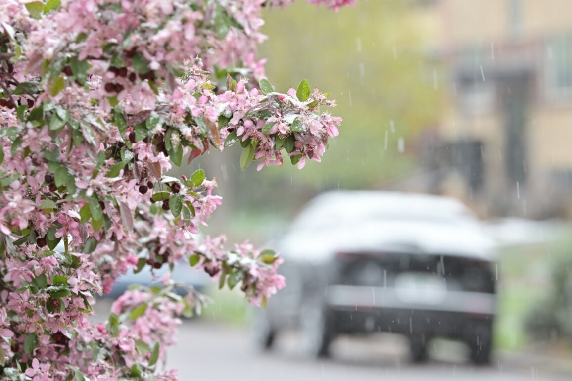Colorado weather- Spring snowstorm hits Denver, mountains as temps dramatically drop