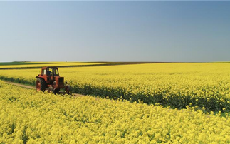  PepsiCo and Soil Capital team up for rapeseed regenerative farming push