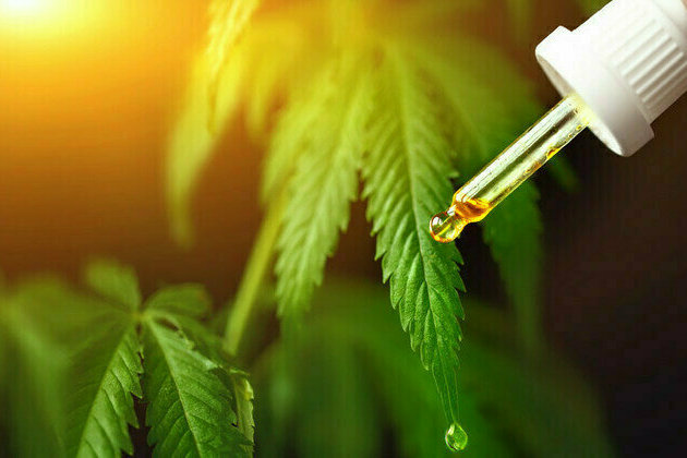 Global Cannabidiol Legalization Trend to Shape the CBD Market's Future Growth