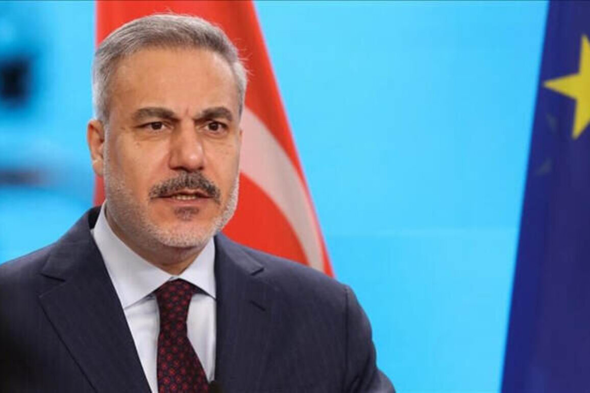 Turkey FM: International cooperation has supported Syrias stability