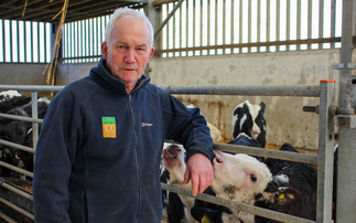 How an on-farm project has helped reduce a Welsh dairy herd's antibiotic use 