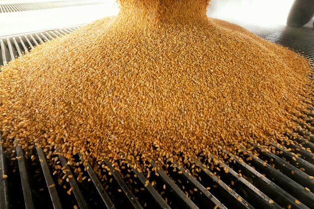 Counterpoints critical of biofuels leave out important context