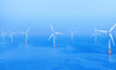 IEEFA throws its support behind offshore wind in Australia