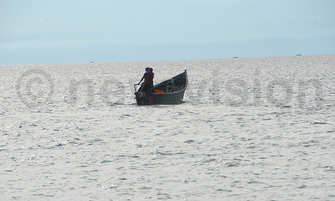 Lake Albert killer accidents over the years Lake Albert killer accidents over the years