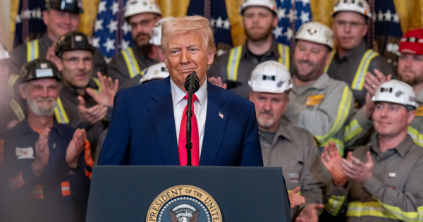 US designates metcoal as critical material