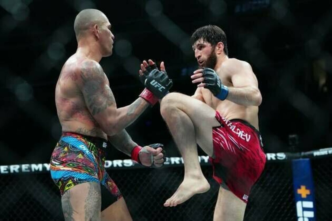 Alex Pereira attempts to retake title from Magomed Ankalaev at UFC 320