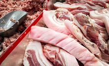 MLA excited by printed meat potential