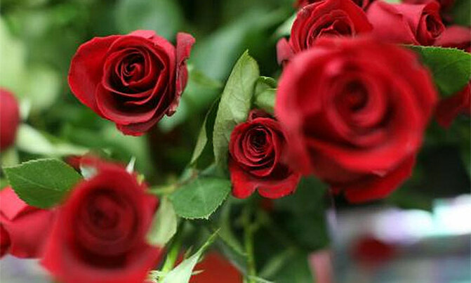Valentine's Day: Just another day Valentine's Day: Just another day