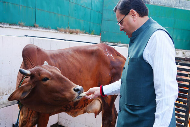 Uttarakhand CM Dhami offers prayers on Govardhan Puja, highlights cow protection, conservation efforts