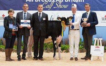 Riverdane Holsteins win at All Breeds All Britain calf show