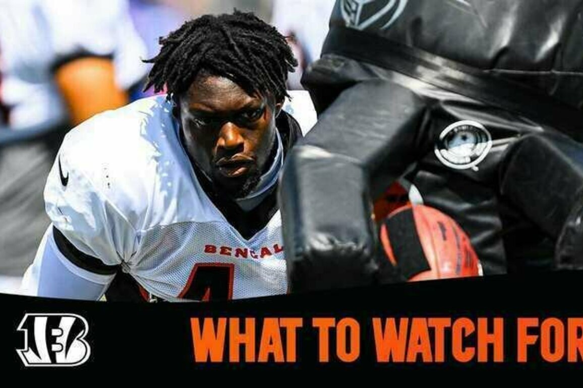 WHAT TO FOR | Bengals vs. Eagles Preseason Week 1
