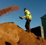 Snow news regional round-up: sales flourish - but not for building materials