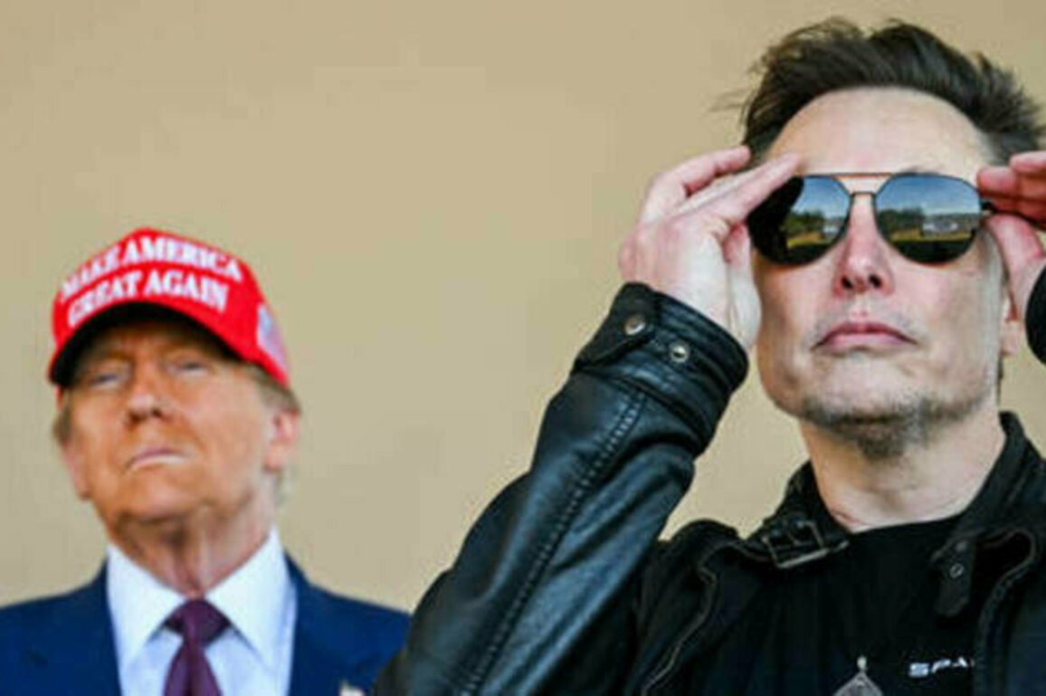 Musk's SpaceX frontrunner for Trump's missile shield - Reuters
