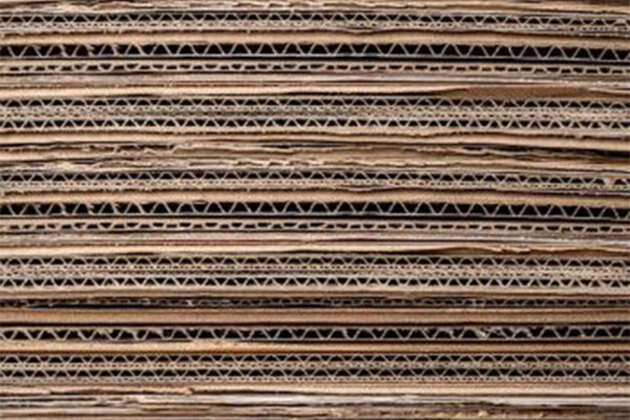 India sets minimum import price for some paper boards