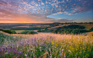 'Ignoring nature is no longer an option': New guidance to help place nature on board agendas
