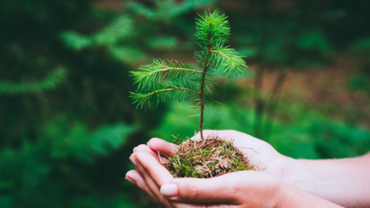 Screwfix and the Woodland Trust partner to support North Yorkshire forest project