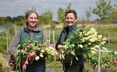 Flowers add value and brighten up Shropshire farm estate