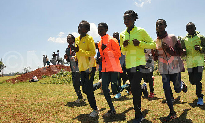 World Cross Country: Free trade World Cross Country: Free trade