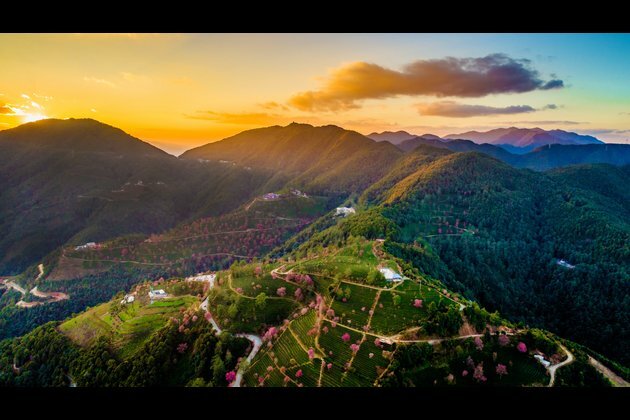 Biodiversity in SW China&#039;s Yunnan