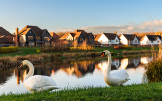Study: Offsite Biodiversity Net Gain projects could protect area the size of Greater London