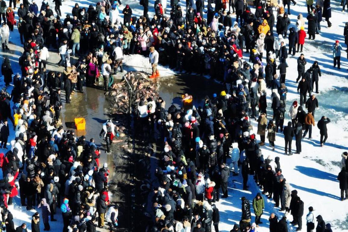 Economy&Life | Winter fishing event in NE China's Shenyang attracts tourists