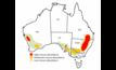  The CSIRO has issued a warning in its August Mouse Update for potential mouse damage in the coming months. Image courtesy CSIRO.