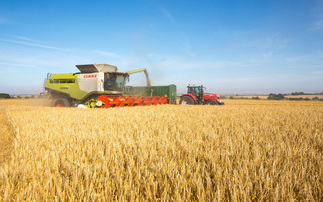 UK harvest remains challenging despite modest improvements from northern crops