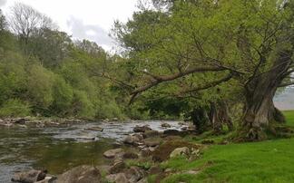 Regenerative approach improves water quality