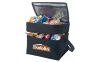 Sadolin rolls out its 'coolest' promotion yet!