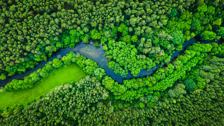 Artificial Intelligence – the environment's ally