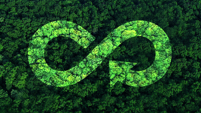 Image: Miha Creative/Shutterstock