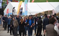 NSA Welsh Sheep Preview: Showcasing sustainability in the sheep sector  
