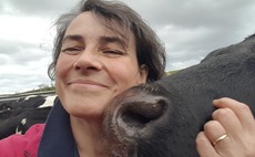EXCLUSIVE - Bridget Whell on bovine TB: "We have been stuck in this test and cull cycle of cattle for way too long"