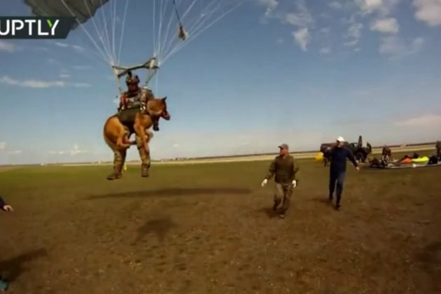 Dog parachutes to be deployed to army in 2022