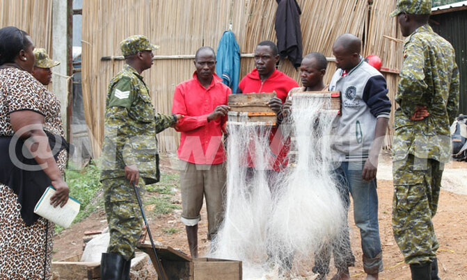 Four arrested over illegal fishing Four arrested over illegal fishing